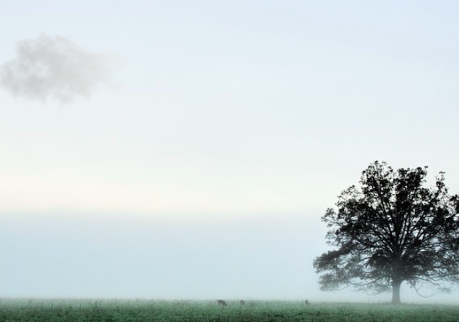 A TROP PRESSER LES NUAGES - CIE COMPAGNIE DU RÉFECTOIRE