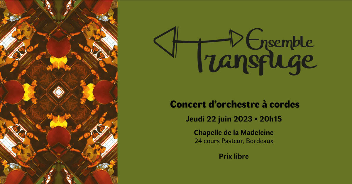Ensemble Transfuge en concert