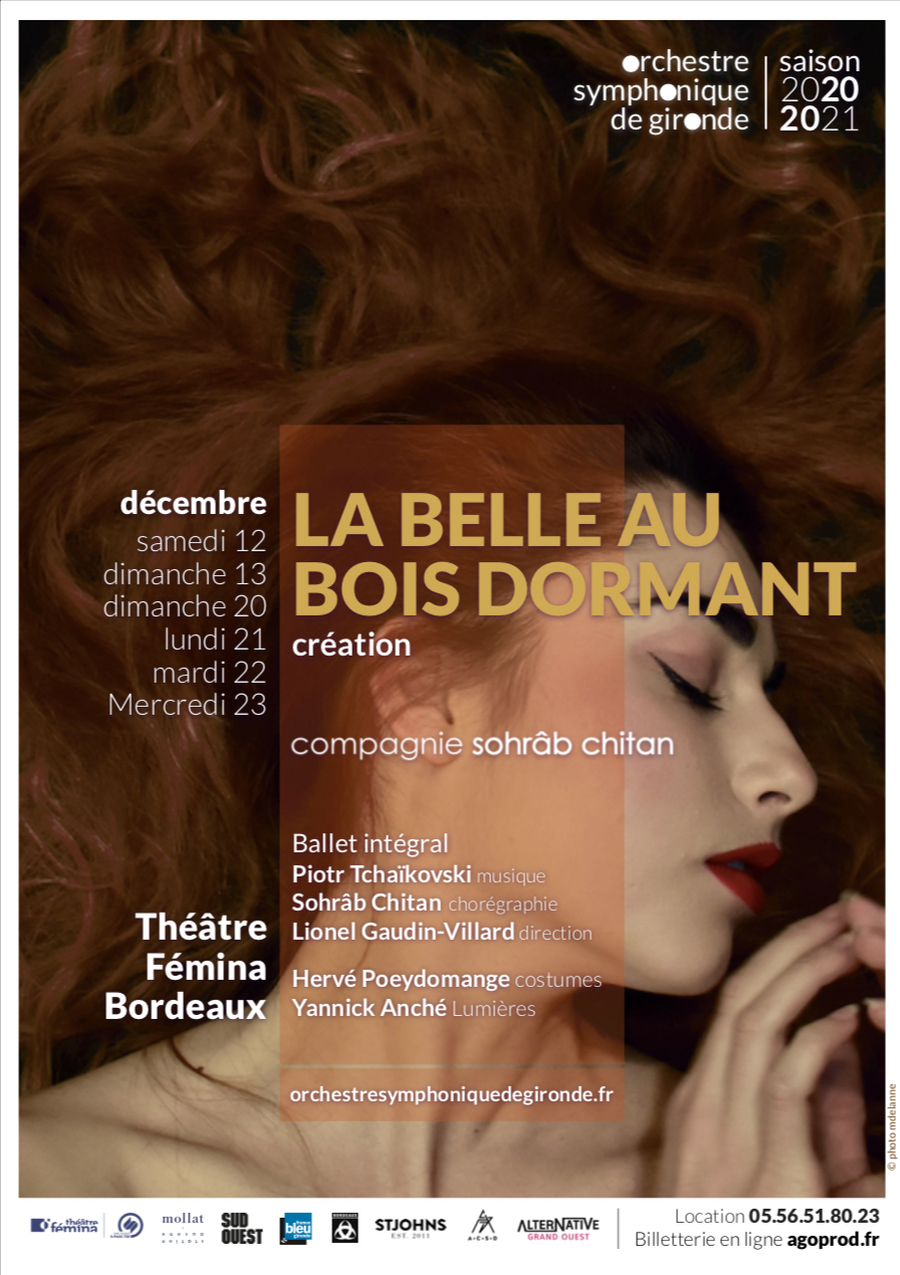 LA BELLE AU BOIS DORMANT