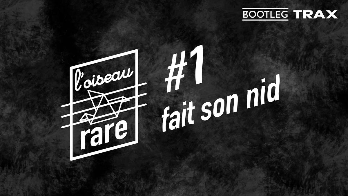 L'Oiseau Rare fait son nid