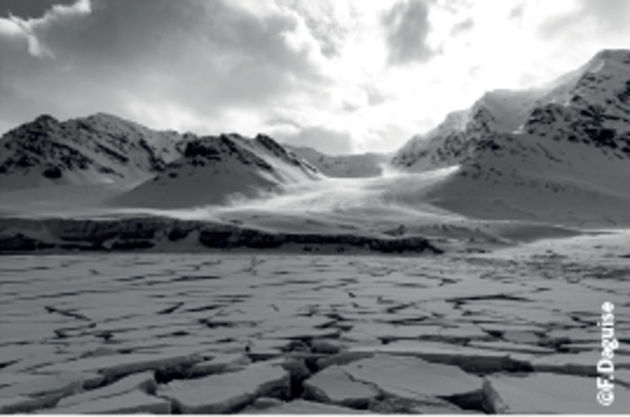 Nostalgie des Glaces / François Daguise