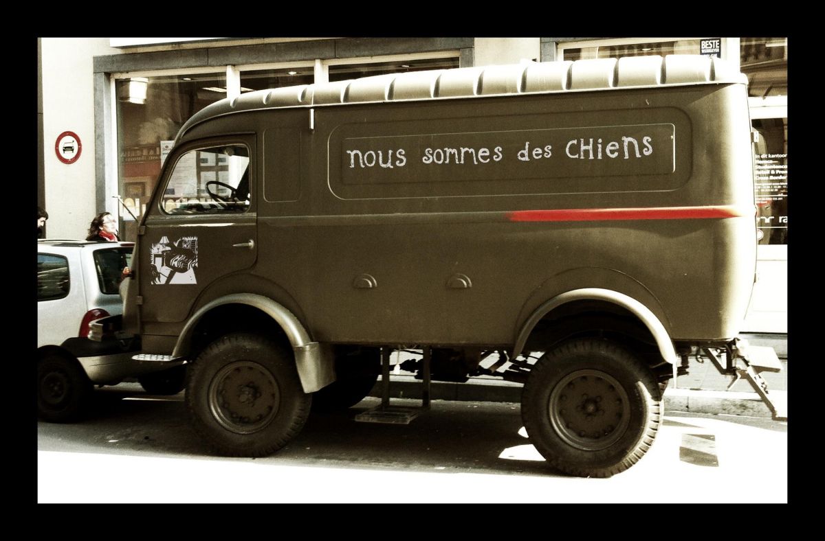 Nous Sommes Des Chiens