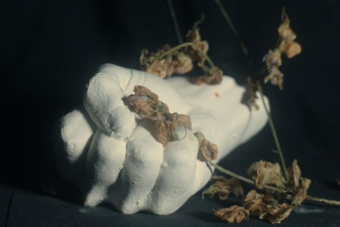 PAIN MAGAZINE - BIRDS IN ROW X LOUISAHHH X MAELSTROM X QUENTIN SAUVÉ