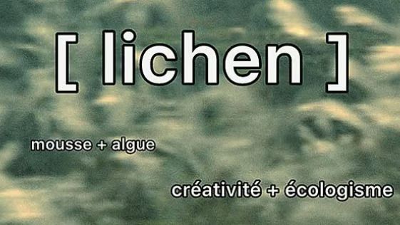 « SYMBIOCÈNE » : 3 œuvres sur l'harmonie entre l'humain & le reste du vivant, avec LICHEN