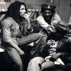 UN WAILERS AU COMPTOIR