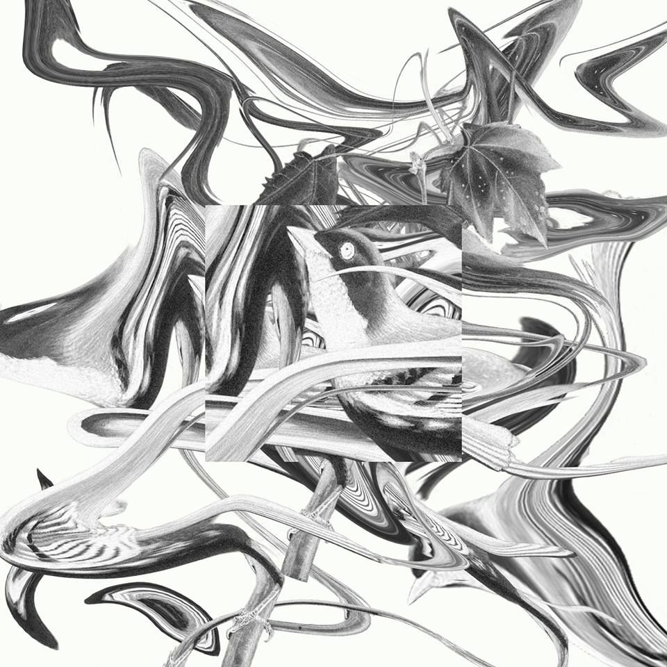 Whomadewho