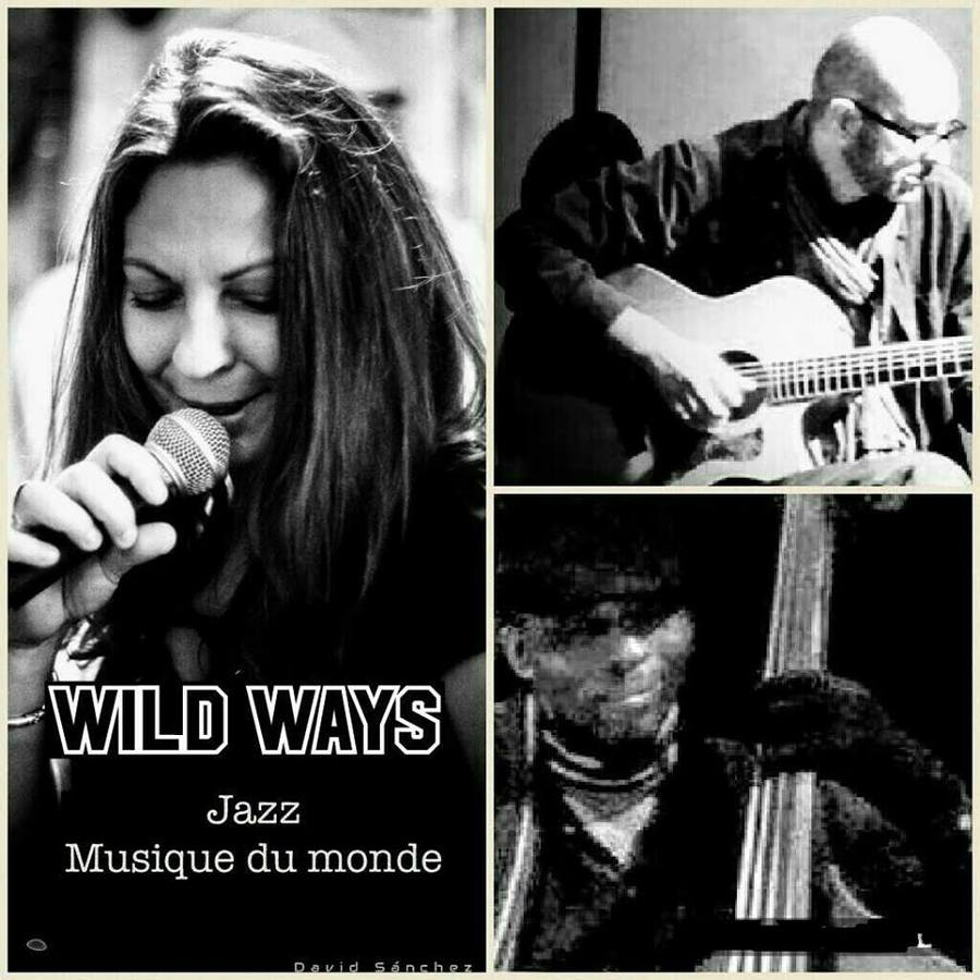 Wild Ways Jazz