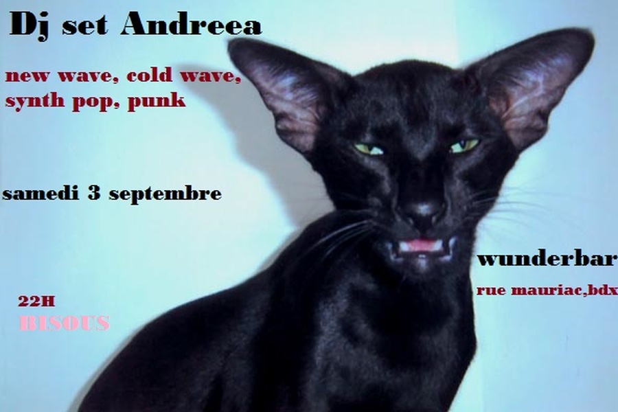 Wunder Party !